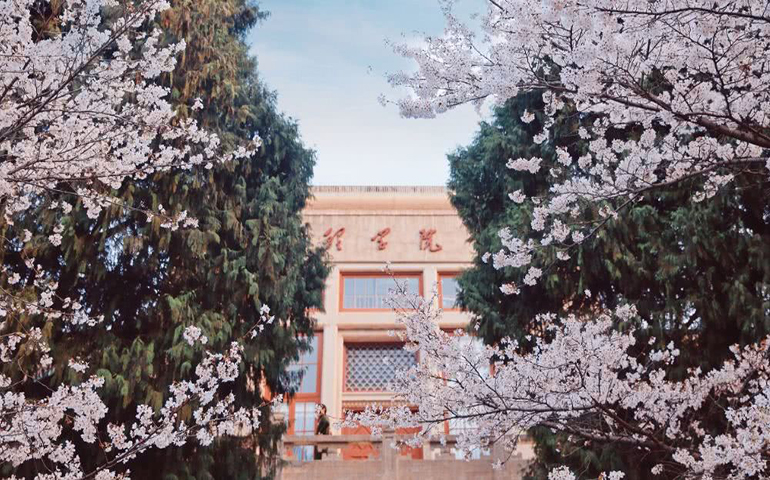 Blog